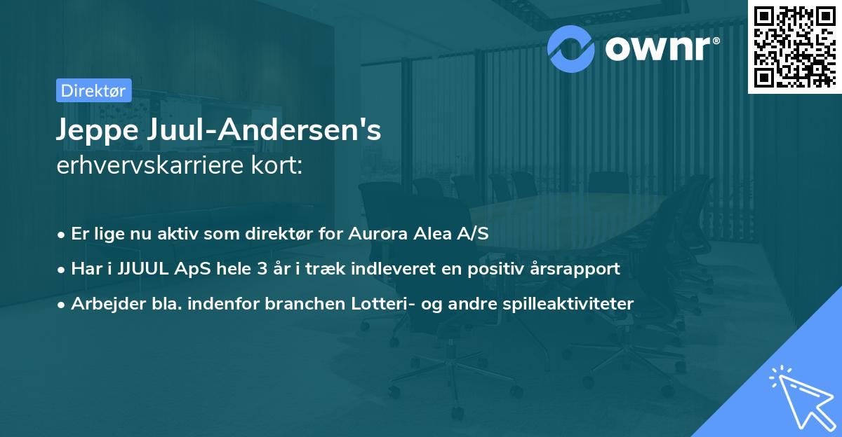 Jeppe Juul-Andersen's erhvervskarriere kort