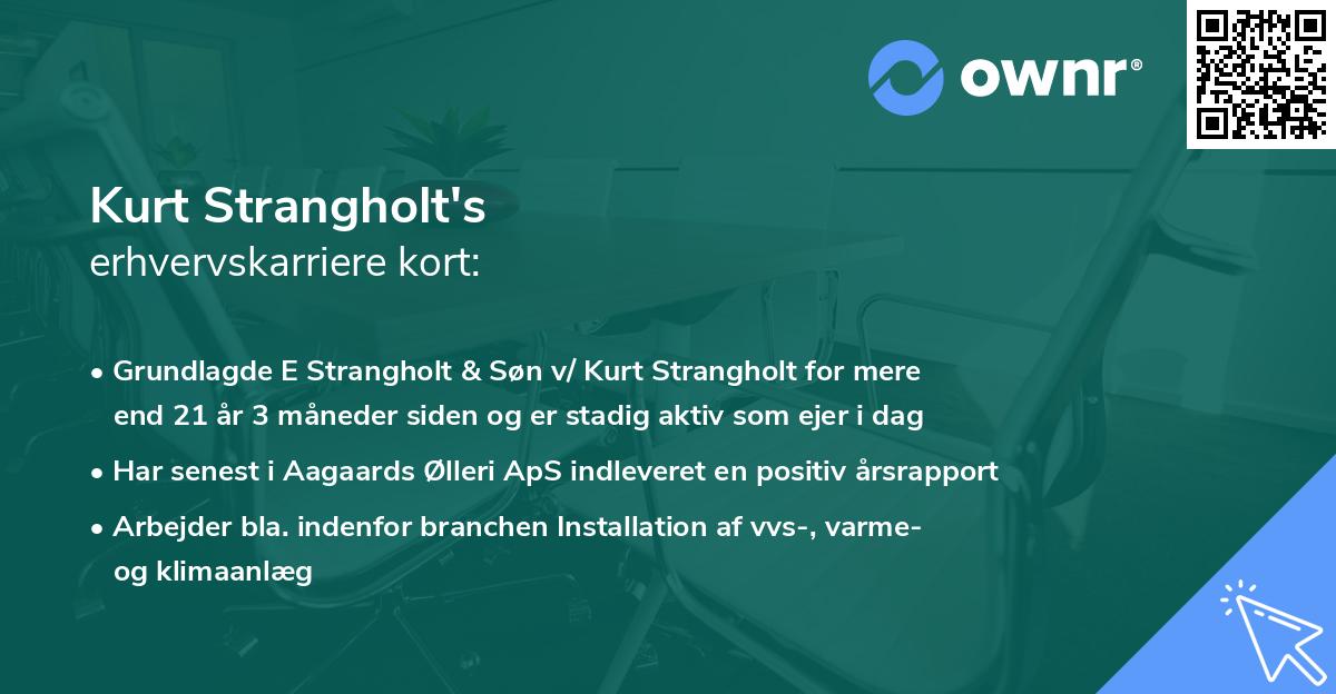 Kurt Strangholt's erhvervskarriere kort