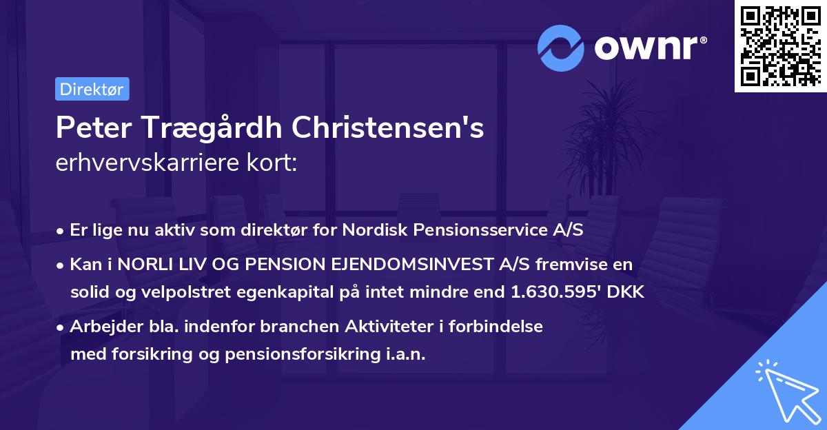 Peter Trægårdh Christensen's erhvervskarriere kort