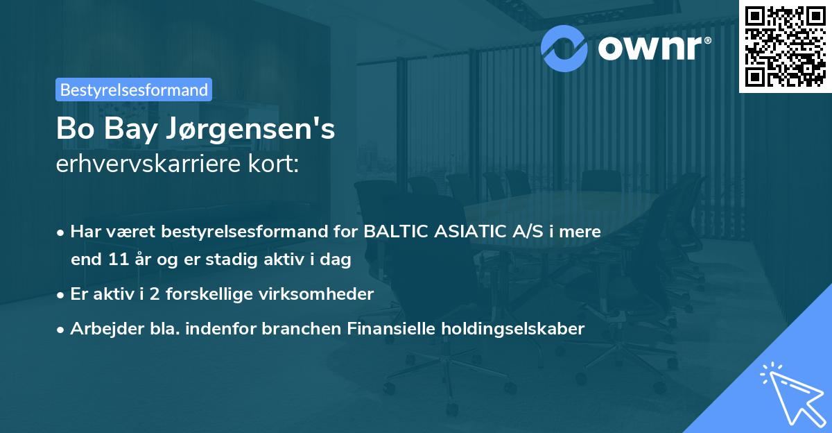 Bo Bay Jørgensen's erhvervskarriere kort