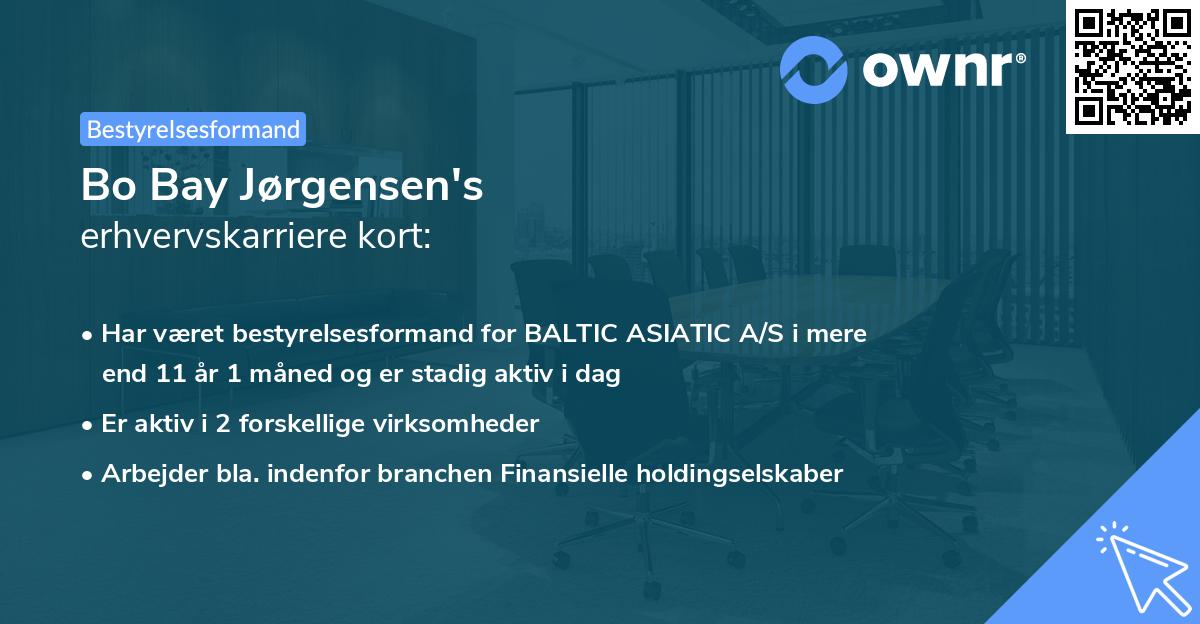 Bo Bay Jørgensen's erhvervskarriere kort
