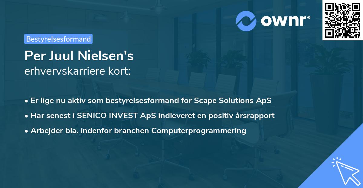 Per Juul Nielsen's erhvervskarriere kort