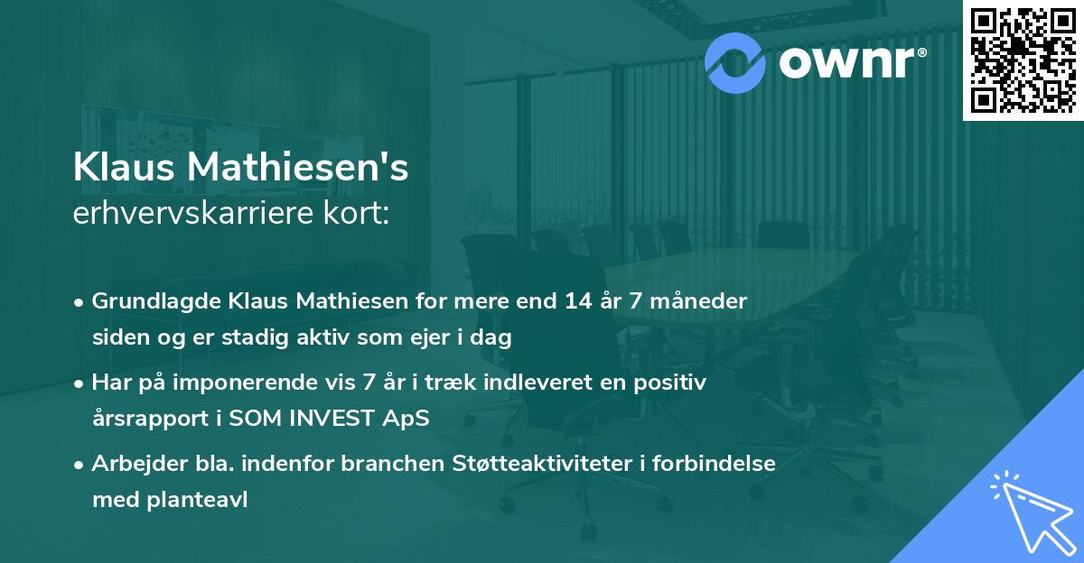 Klaus Mathiesen's erhvervskarriere kort