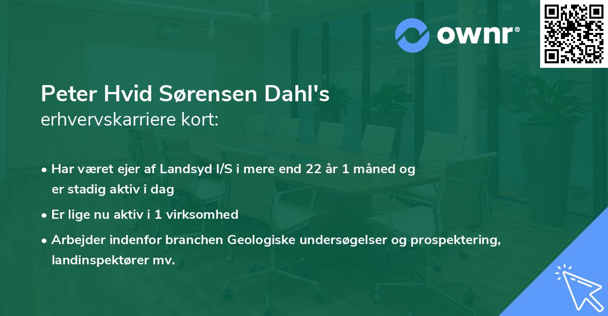 Peter Hvid Sørensen Dahl's erhvervskarriere kort