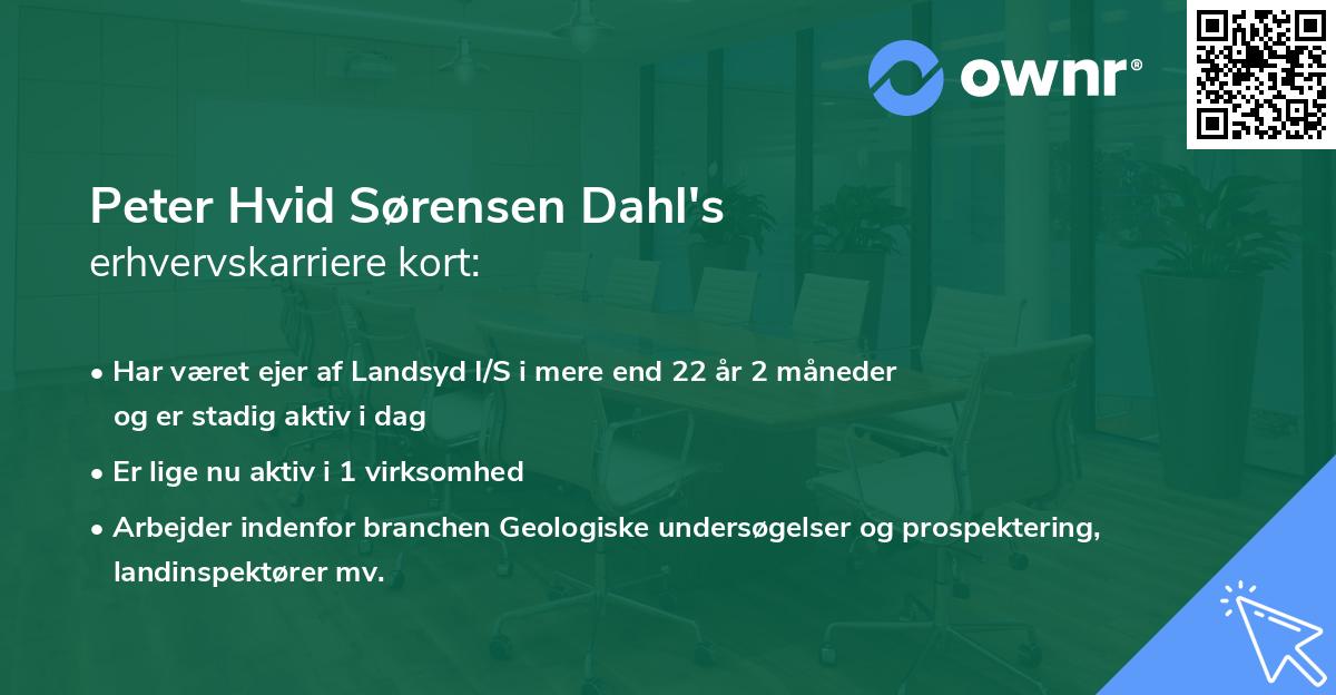 Peter Hvid Sørensen Dahl's erhvervskarriere kort