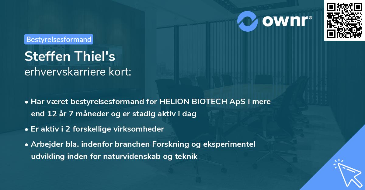 Steffen Thiel's erhvervskarriere kort