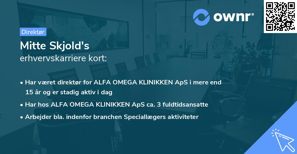 Mitte Skjold's erhvervskarriere kort
