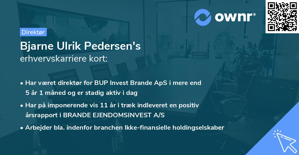 Bjarne Ulrik Pedersen's erhvervskarriere kort