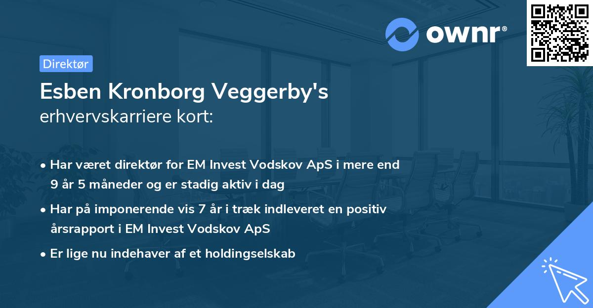 Esben Kronborg Veggerby's erhvervskarriere kort