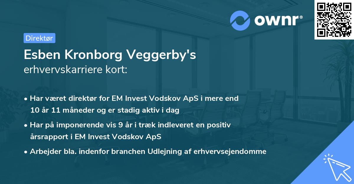 Esben Kronborg Veggerby's erhvervskarriere kort