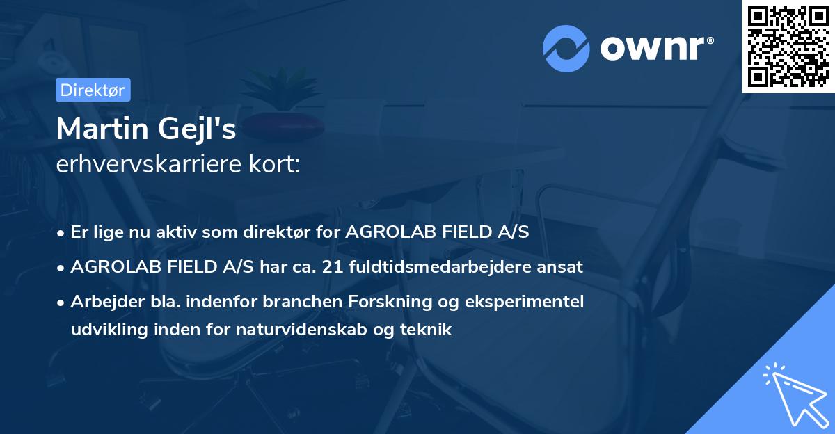 Martin Gejl's erhvervskarriere kort