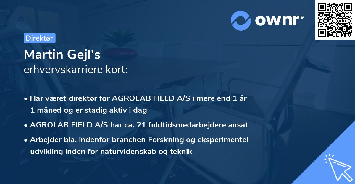 Martin Gejl's erhvervskarriere kort