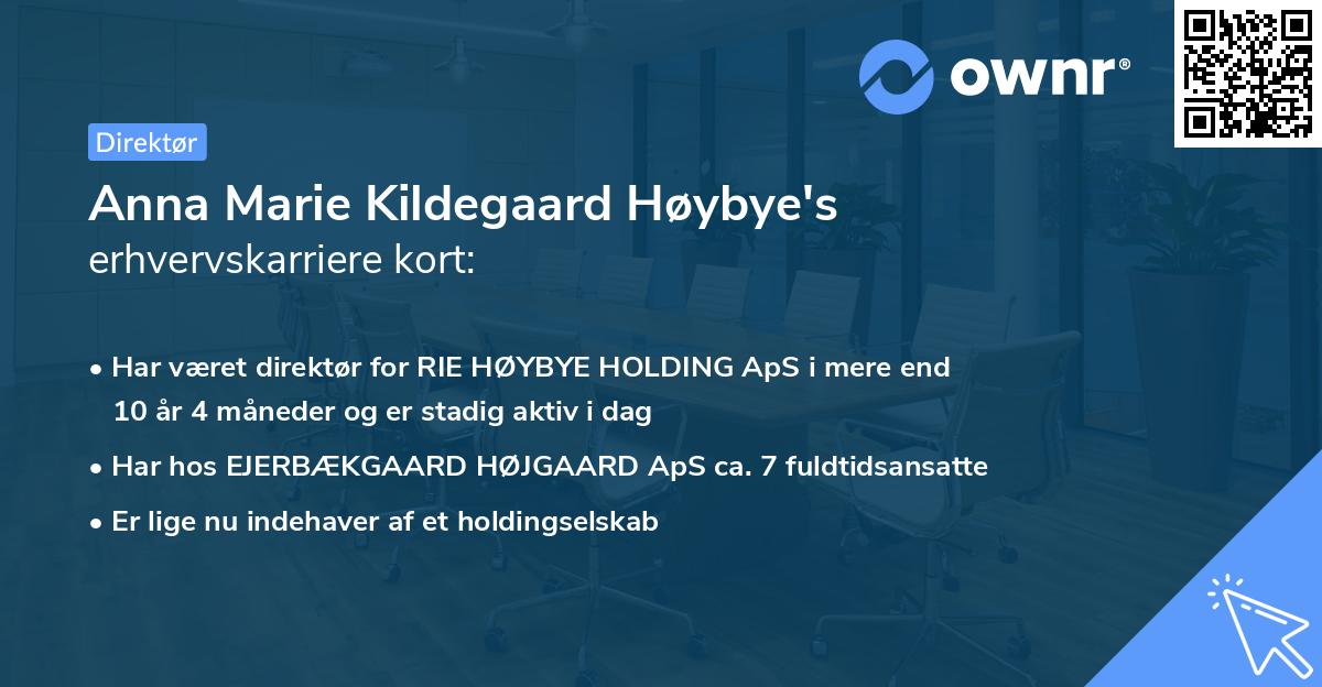 Anna Marie Kildegaard Høybye's erhvervskarriere kort
