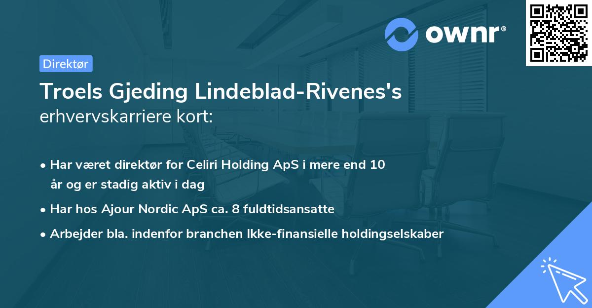 Troels Gjeding Lindeblad-Rivenes's erhvervskarriere kort