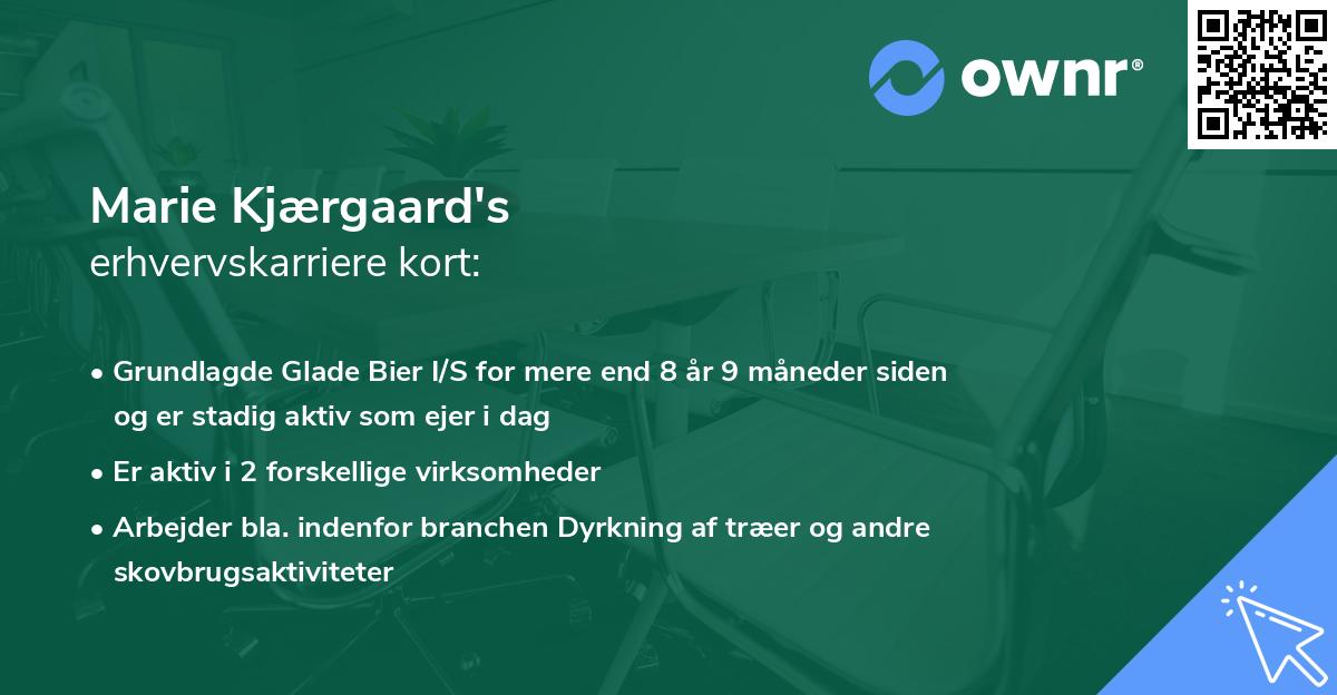 Marie Kjærgaard's erhvervskarriere kort