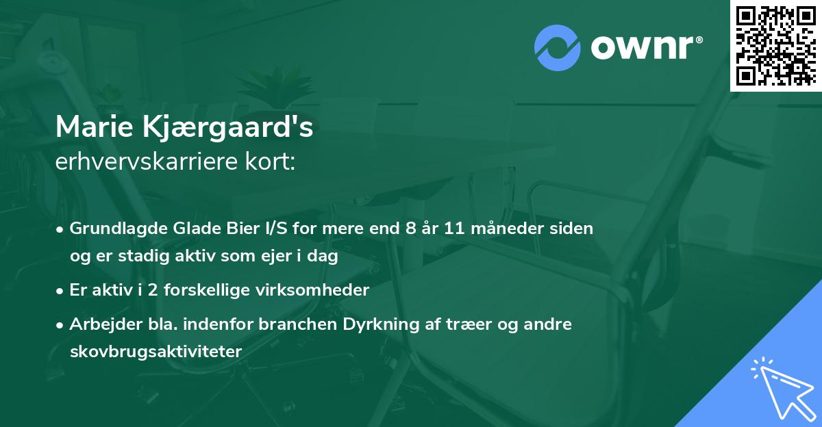 Marie Kjærgaard's erhvervskarriere kort