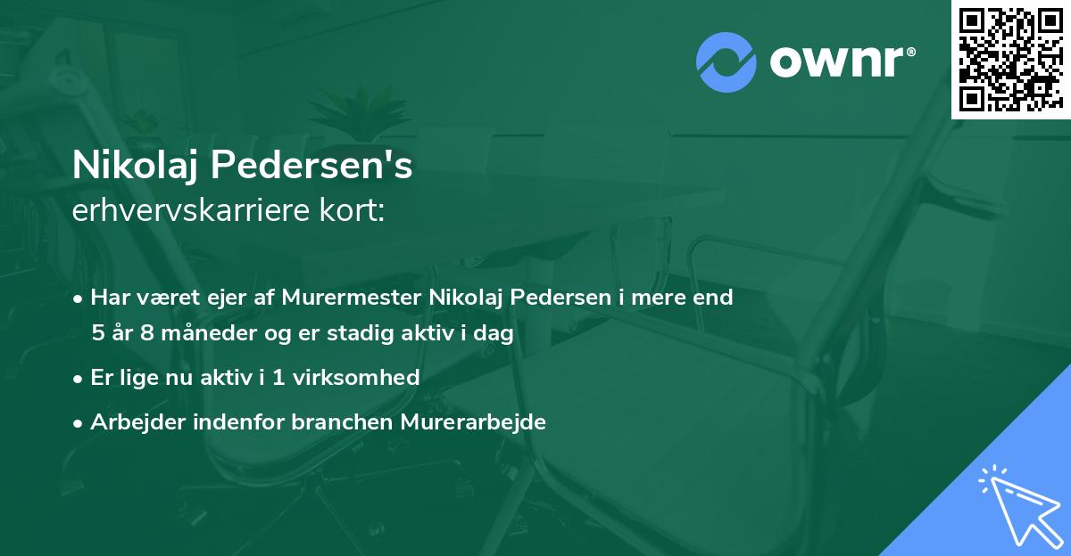Nikolaj Pedersen's erhvervskarriere kort