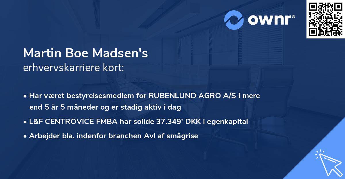 Martin Boe Madsen's erhvervskarriere kort