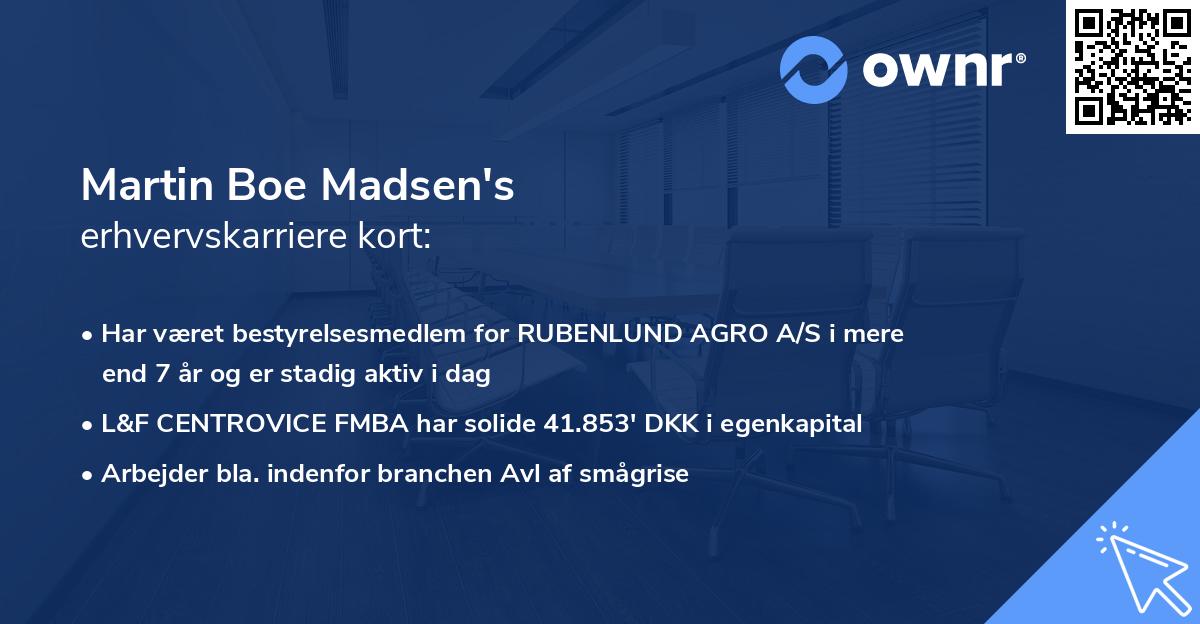 Martin Boe Madsen's erhvervskarriere kort