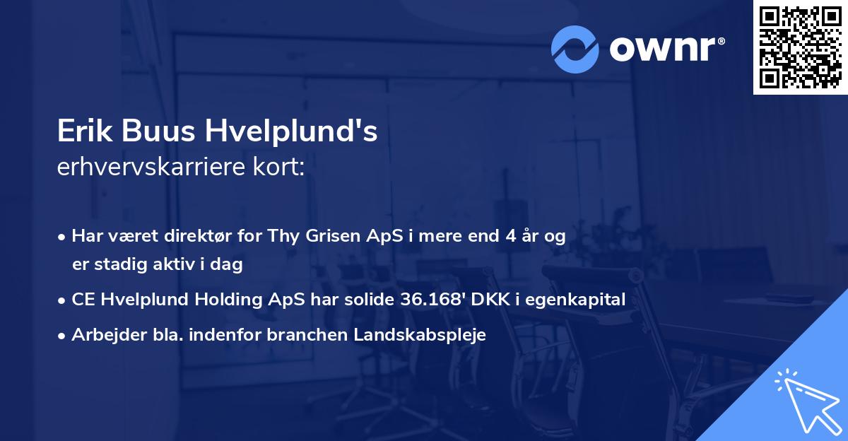Erik Buus Hvelplund's erhvervskarriere kort