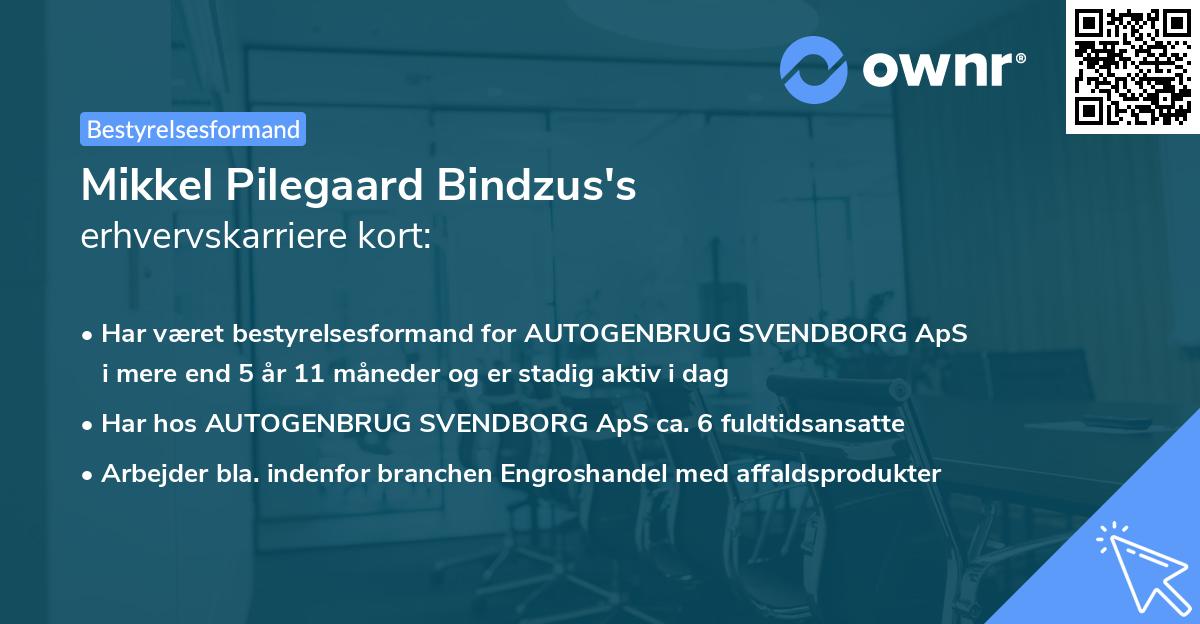 Mikkel Pilegaard Bindzus's erhvervskarriere kort