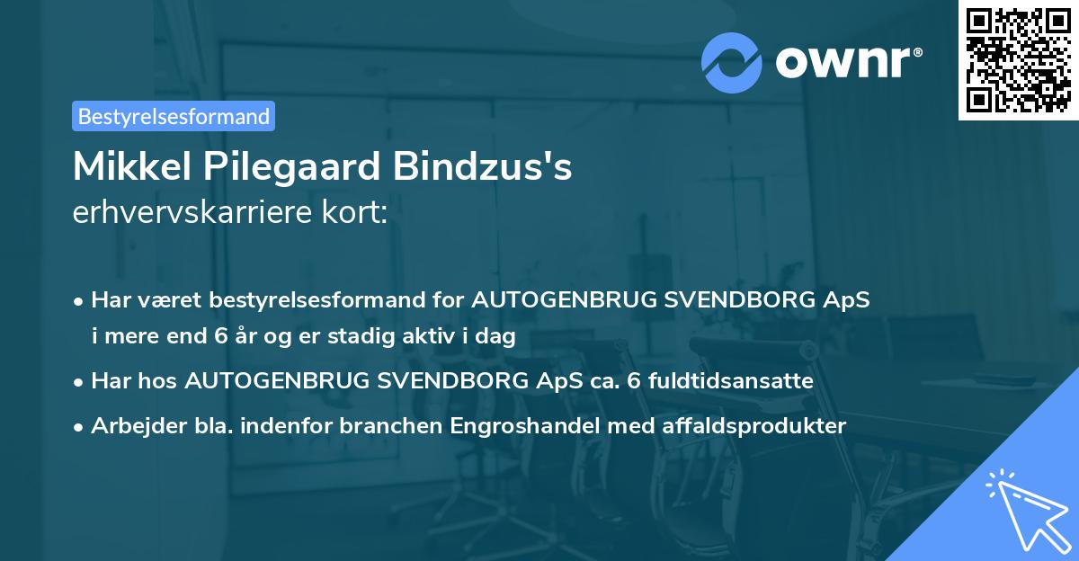 Mikkel Pilegaard Bindzus's erhvervskarriere kort