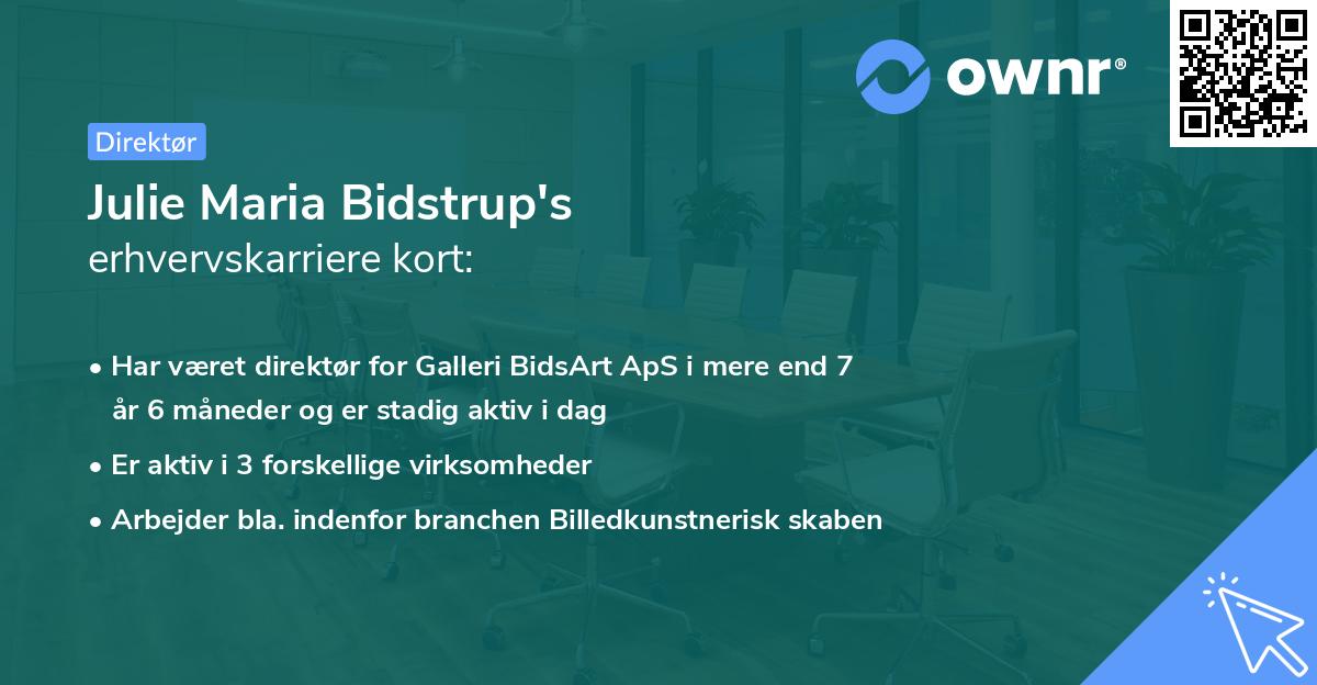 Julie Maria Bidstrup's erhvervskarriere kort