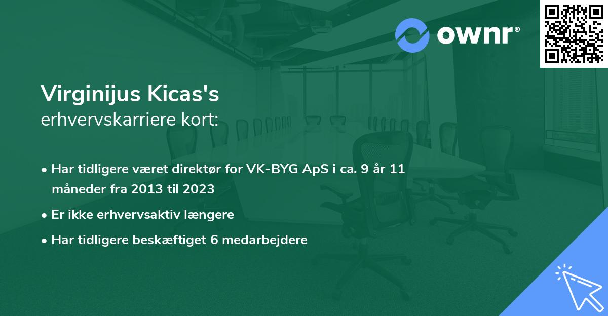 Virginijus Kicas's erhvervskarriere kort