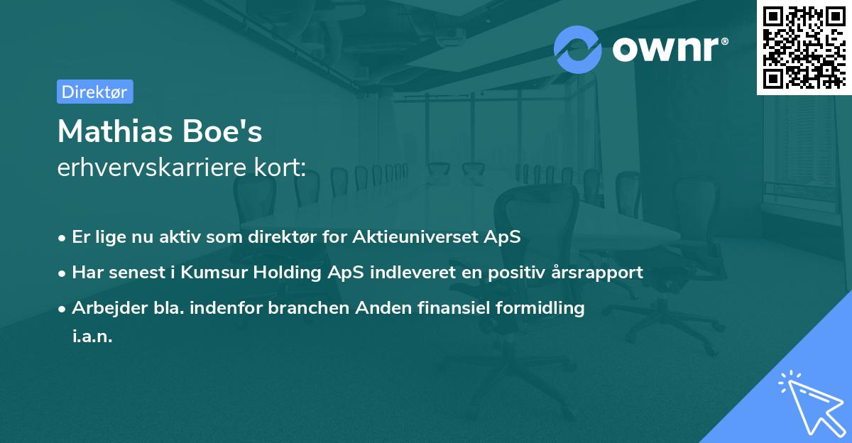 Mathias Boe's erhvervskarriere kort