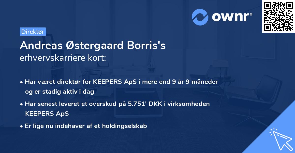 Andreas Østergaard Borris's erhvervskarriere kort