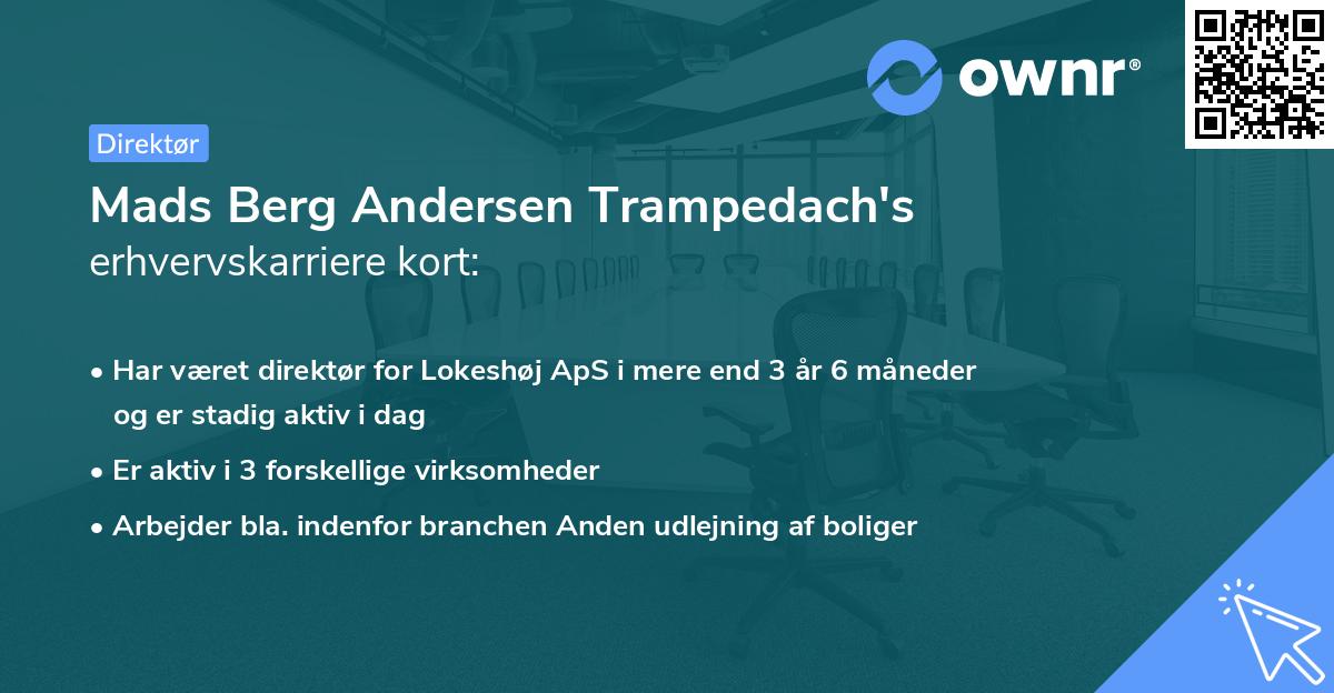 Mads Berg Andersen Trampedach's erhvervskarriere kort