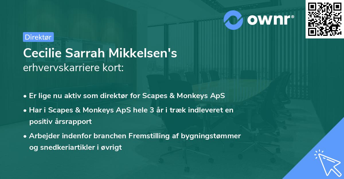 Cecilie Sarrah Mikkelsen's erhvervskarriere kort