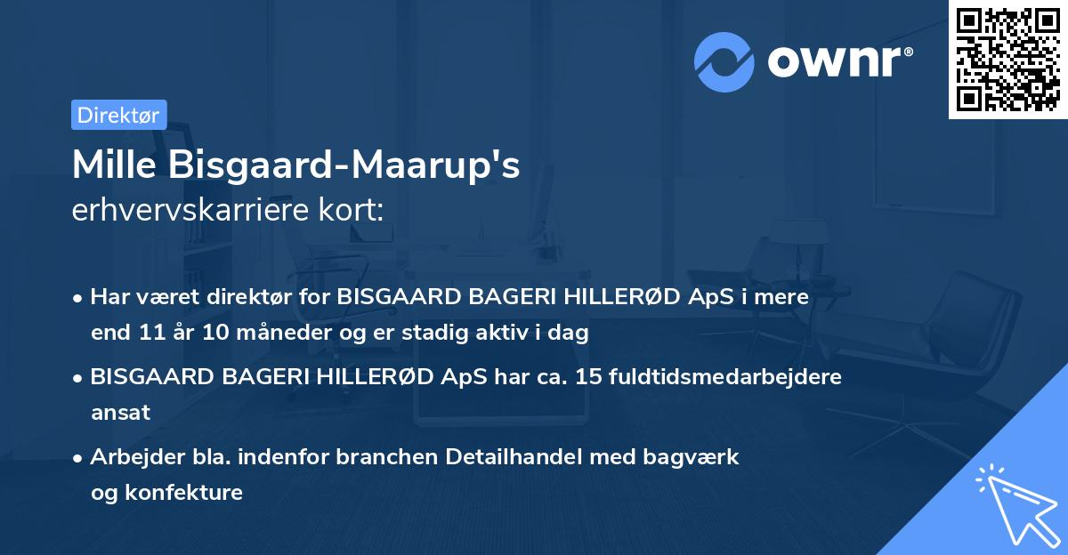 Mille Bisgaard-Maarup's erhvervskarriere kort