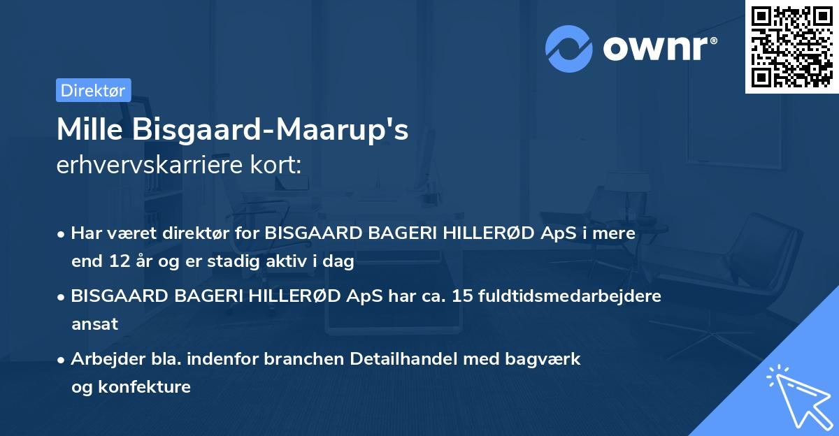 Mille Bisgaard-Maarup's erhvervskarriere kort