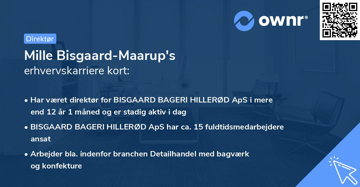Mille Bisgaard-Maarup's erhvervskarriere kort