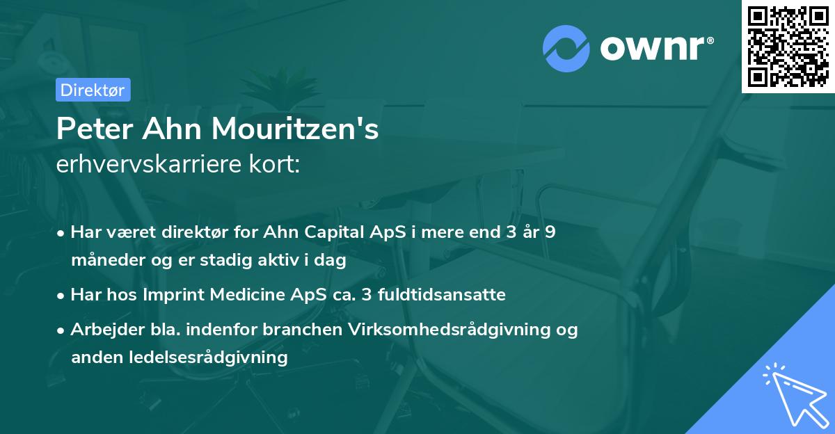 Peter Ahn Mouritzen's erhvervskarriere kort