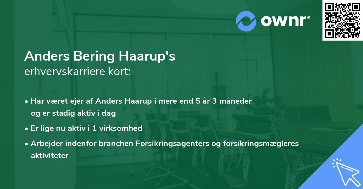 Anders Bering Haarup's erhvervskarriere kort