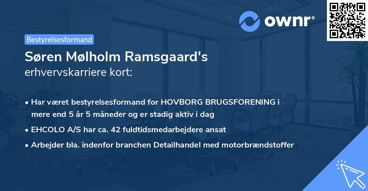 Søren Mølholm Ramsgaard's erhvervskarriere kort