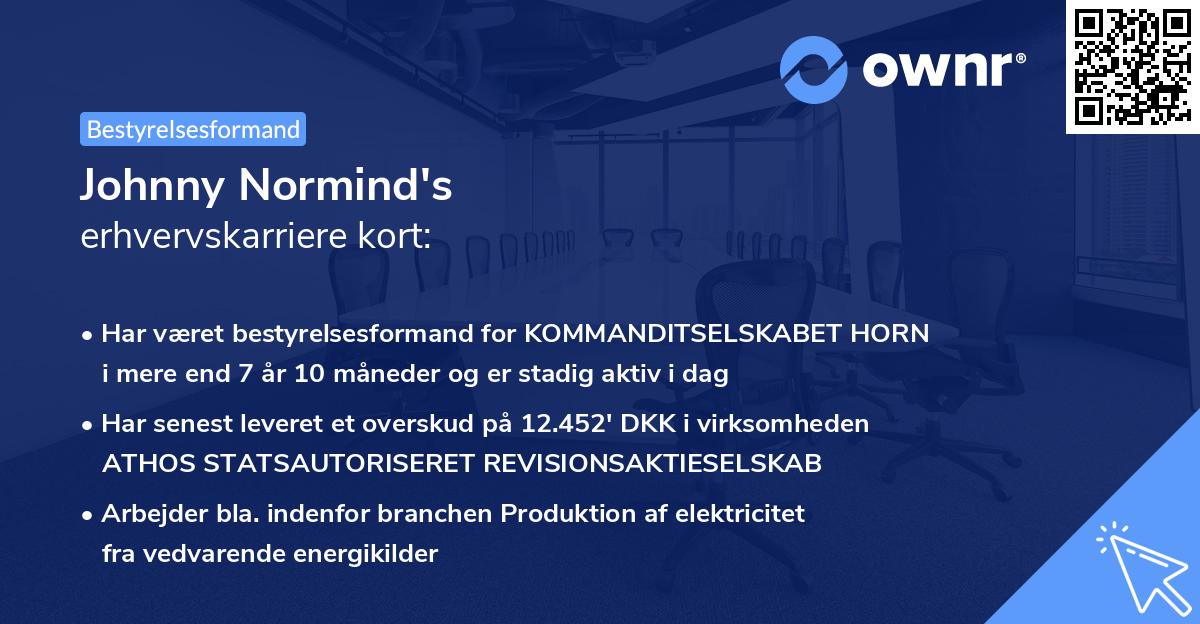 Johnny Normind's erhvervskarriere kort