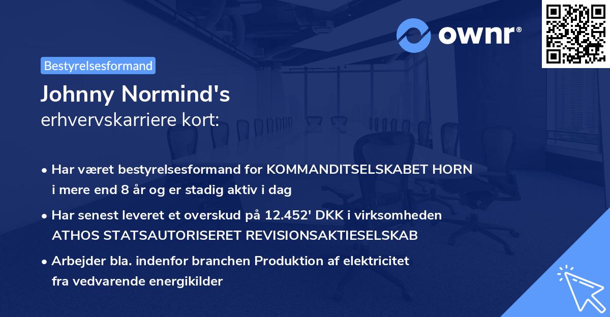 Johnny Normind's erhvervskarriere kort
