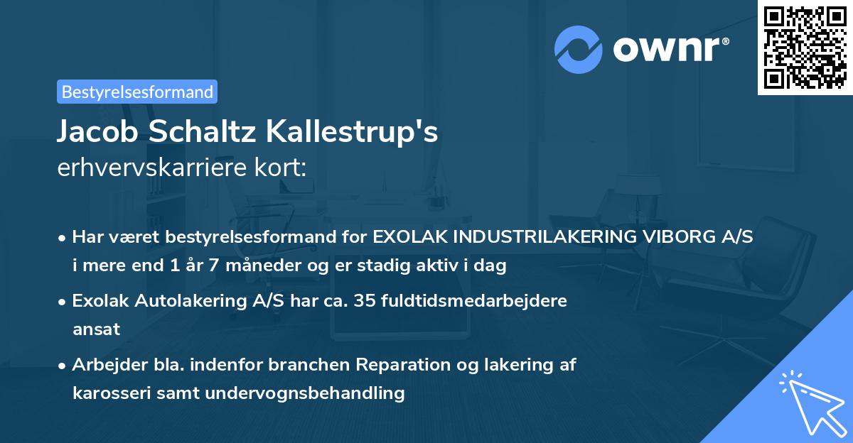 Jacob Schaltz Kallestrup's erhvervskarriere kort