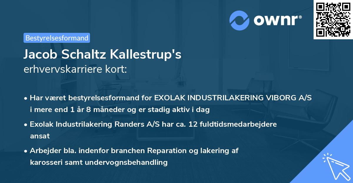 Jacob Schaltz Kallestrup's erhvervskarriere kort