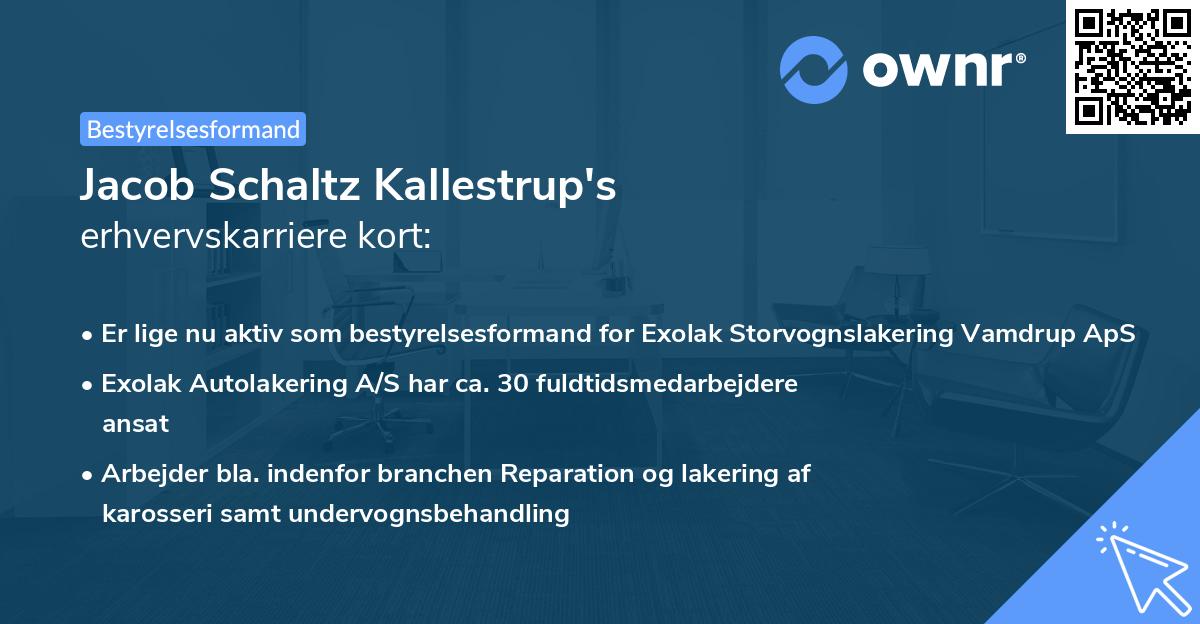 Jacob Schaltz Kallestrup's erhvervskarriere kort
