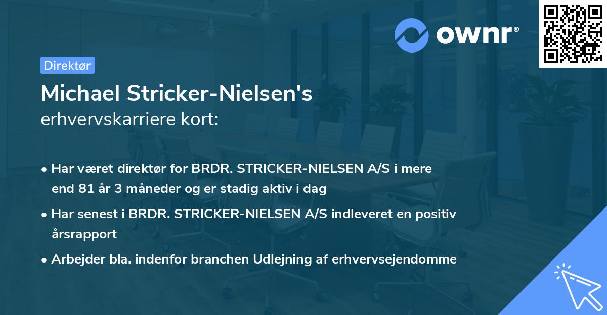 Michael Stricker-Nielsen's erhvervskarriere kort
