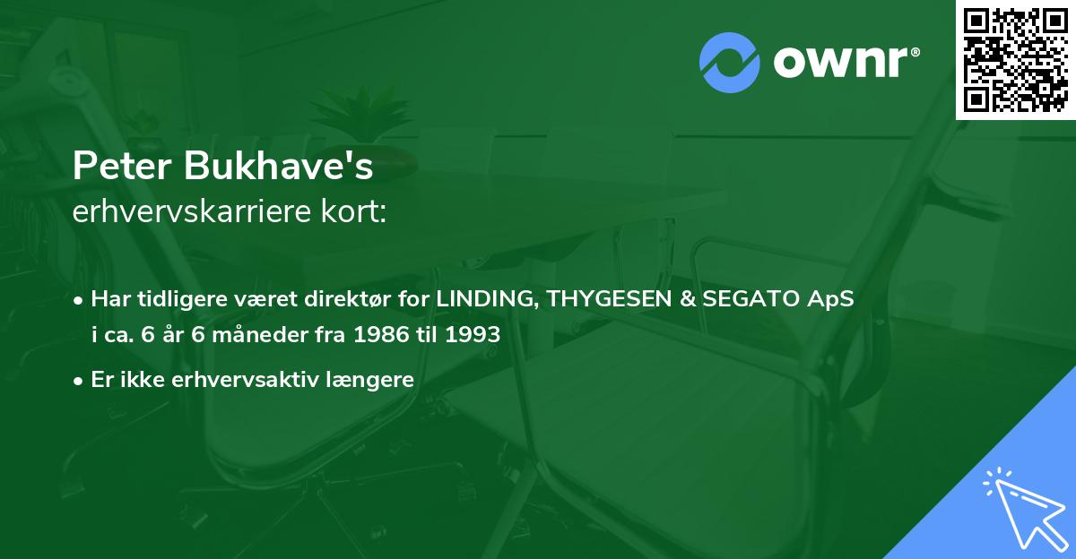 Peter Bukhave's erhvervskarriere kort