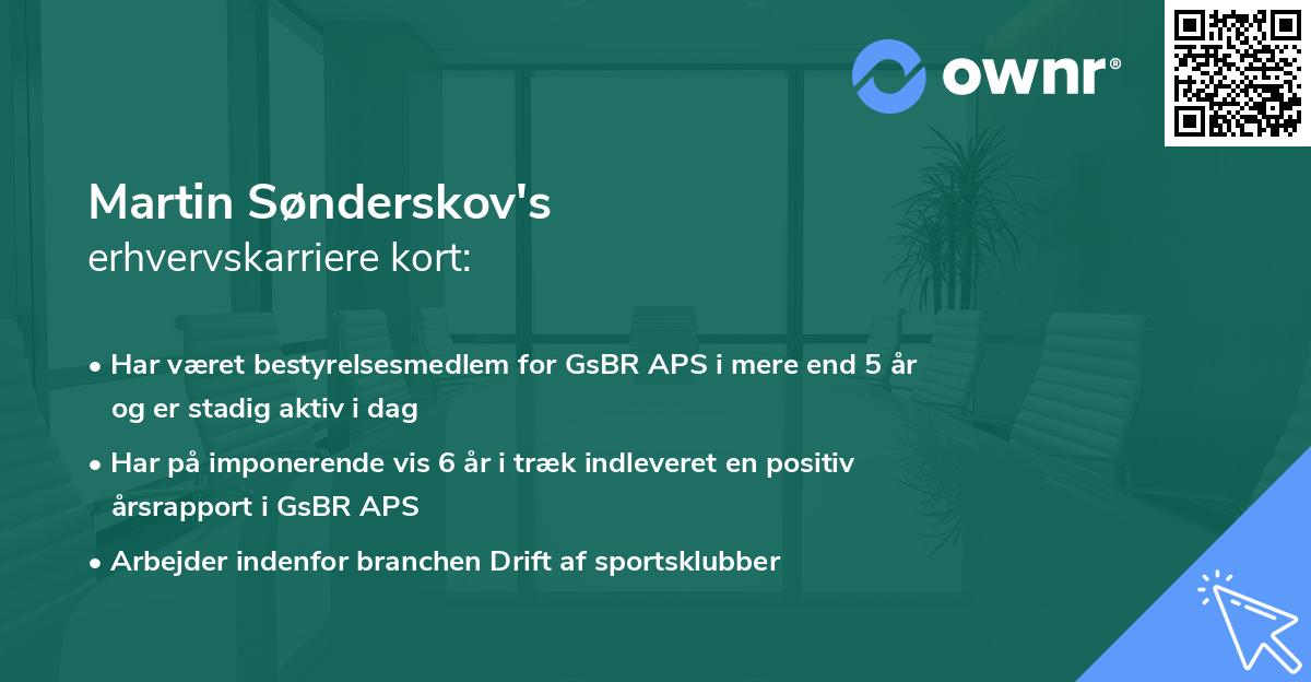 Martin Sønderskov's erhvervskarriere kort