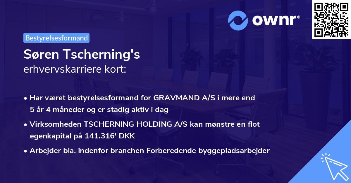 Søren Tscherning's erhvervskarriere kort