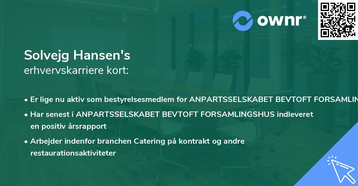 Solvejg Hansen's erhvervskarriere kort