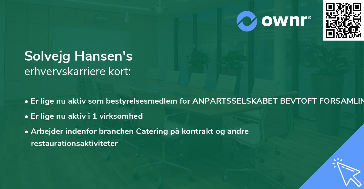Solvejg Hansen's erhvervskarriere kort