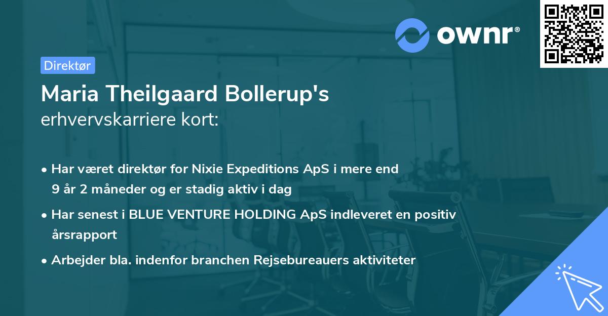 Maria Theilgaard Bollerup's erhvervskarriere kort